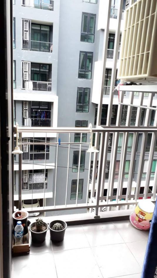 เช่าคอนโด แอทโมซ ลาดพร้าว 71 คอนโดมิเนียม - Condo Rental Atmoz Ladprao 71 Condominium - 2518405