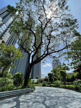 ขายคอนโด Park Origin Thonglor : พาร์ค ออริจิ้น ทองหล่อ - Sell Condo   - 2523774