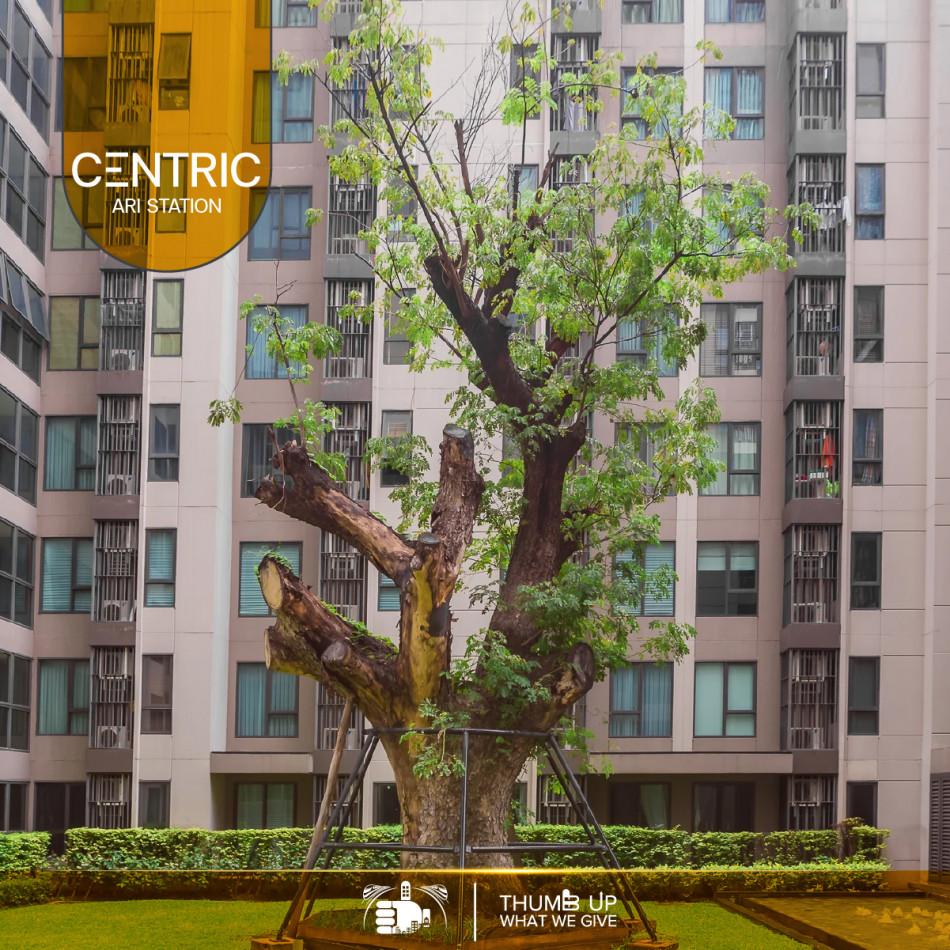 เช่าคอนโด CENTRIC Ari Station (เซ็นทริค อารีย์ สเตชั่น) - Condo Rental   - 2549714
