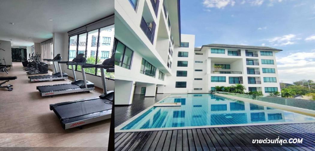 ขายคอนโด ขาย เดอะซัน คอนโด ศรีราชา ( The Sun Condo Sriracha) เนื้อที่ 44.15 ตร.ม. - Sell Condo   - 2566579