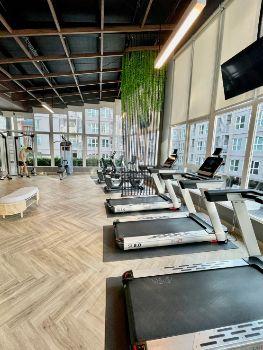 เช่าคอนโด Supalai City Resort charan 91 - Condo Rental   - 2574556
