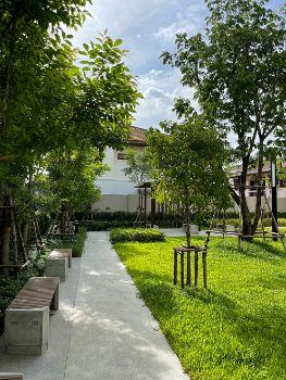 เช่าคอนโด Supalai City Resort charan 91 - Condo Rental   - 2574554