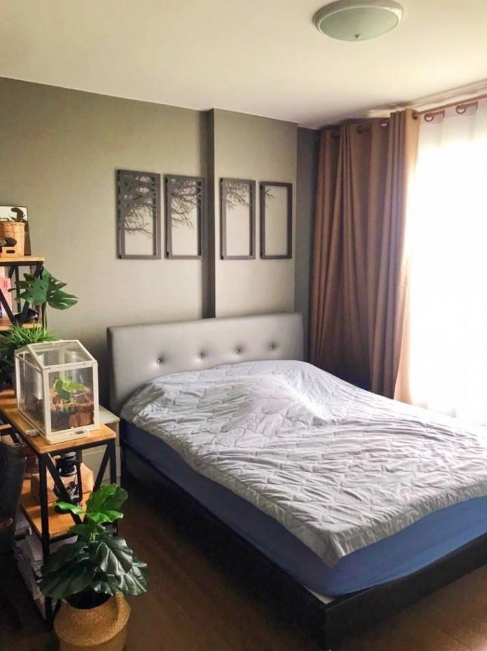 เช่าคอนโด DCONDO สาธุประดิษฐ์ 49 - Condo Rental   - 2582117