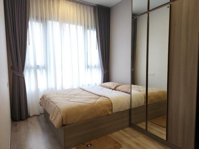 เช่าคอนโด ไนท์บริดจ์ เกษตร โซไซตี้ คอนโดมิเนียม - Condo Rental KnightsBridge Kaset Society condominium - 2590930