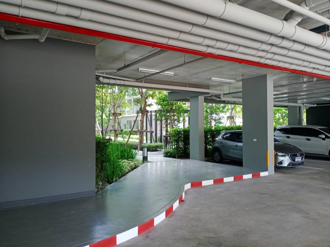 เช่าคอนโด ลุมพินี คอนโดทาวน์ เอกชัย 48 - Condo Rental   - 2601320