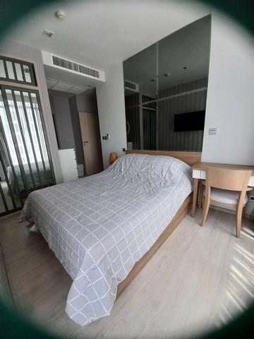 เช่าคอนโด เอ็ม ทองหล่อ เท็น คอนโดมิเนียม - Condo Rental M Thonglor Ten condominium - 2611179