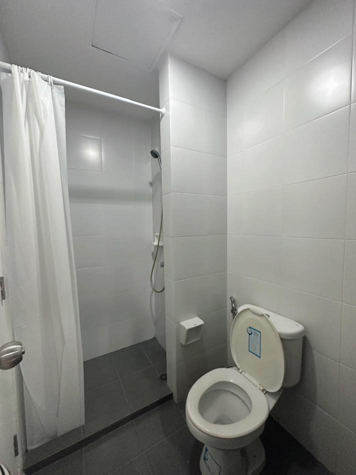 เช่าคอนโด มายคอนโด สุขุมวิท103 - Condo Rental My Condo Sukhumvit103 - 2626251