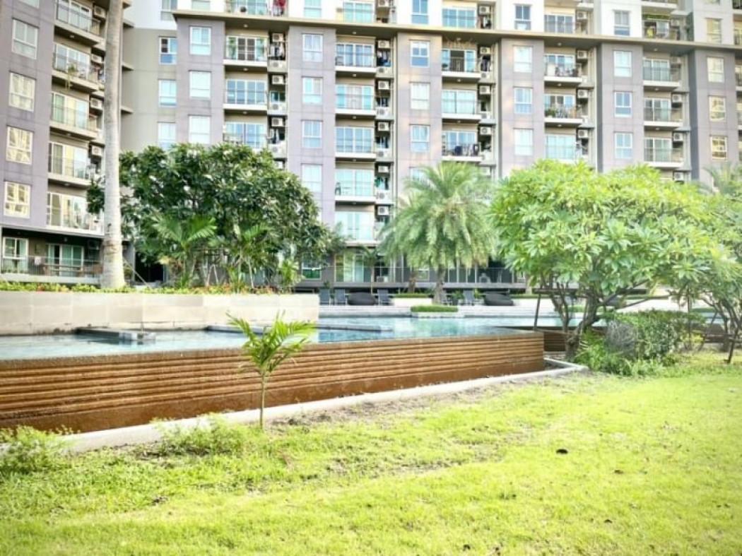 เช่าคอนโด เดอะ พาร์คแลนด์ ศรีนครินทร์ เลคไซด์ - Condo Rental The Parkland Srinakarin Lakeside - 2627218