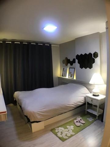 เช่าคอนโด มีสไตล์ สุขุมวิท- บางนา คอนโดมิเนียม - Condo Rental Mestyle Sukhumvit - Bangna condominium - 2629750