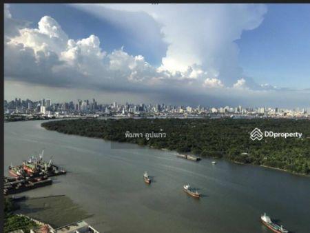 เช่าคอนโด Supalai prima riva Rama3 - Condo Rental   - 2635473