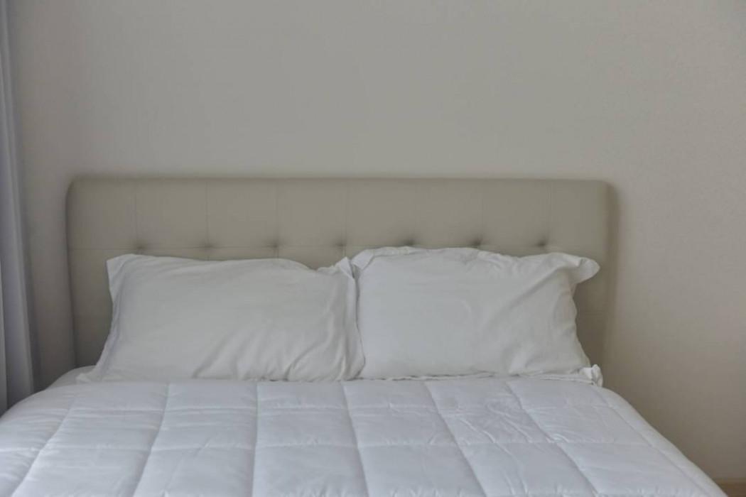 เช่าคอนโด อีส สุขุมวิท 43 คอนโดมิเนียม - Condo Rental EYSE Sukhumvit 43 condominium - 2639820