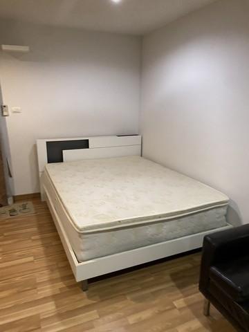 เช่าคอนโด รีเจ้นท์ โฮม 14 สุขุมวิท93 คอนโดมิเนียม - Condo Rental Regent Home14 Sukhumvit93 condominium - 2645048