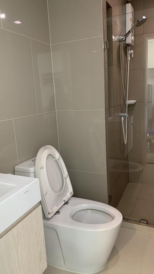 เช่าคอนโด ริช พาร์ค ทริปเปิ้ล สเตชั่น - Condo Rental   - 2650667