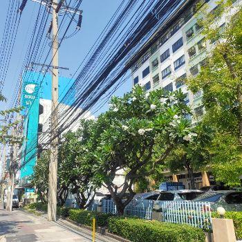 เช่าคอนโด Lumpini place Rama3 charoenkrung - Condo Rental   - 2655967