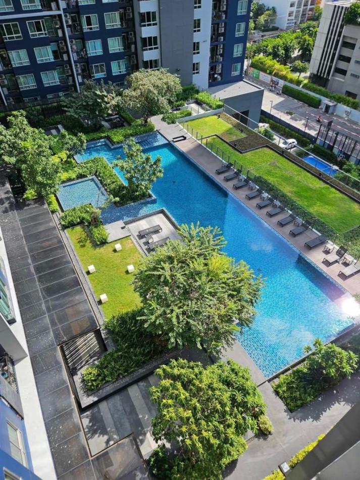 เช่าคอนโด THE BASE สุขุมวิท 77 (เดอะ เบส สุขุมวิท 77) - Condo Rental   - 2665844