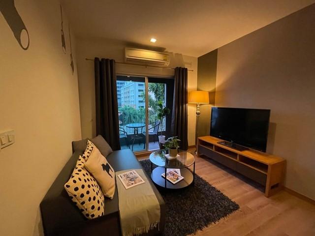 เช่าคอนโด เดอะ ซี๊ด มูซี่ คอนโดมิเนียม - Condo Rental The Seed Musee condominium - 2667030