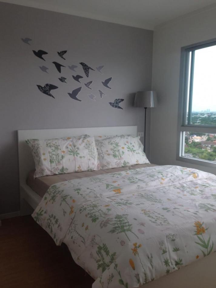 เช่าคอนโด LUMPINI PLACE ศรีนครินทร์ - หัวหมาก (ลุมพินี เพลส ศรีนครินทร์-หัวหมาก) - Condo Rental   - 2689029