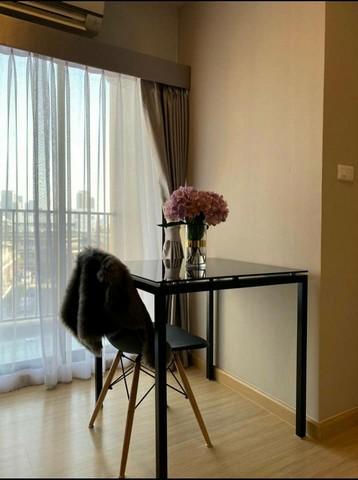 เช่าคอนโด เดอะทรี อ่อนนุช สเตชั่น คอนโดมิเนียม - Condo Rental The Tree Onnut Station condominium - 2794705