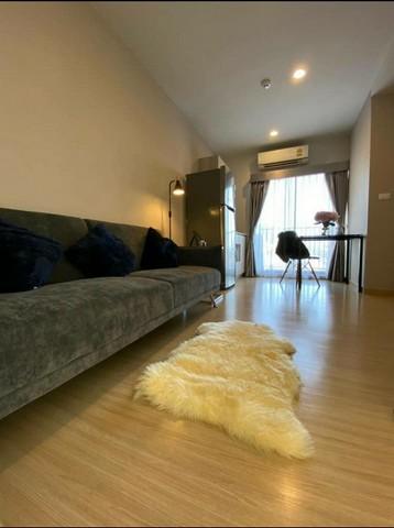 เช่าคอนโด เดอะทรี อ่อนนุช สเตชั่น คอนโดมิเนียม - Condo Rental The Tree Onnut Station condominium - 2794706