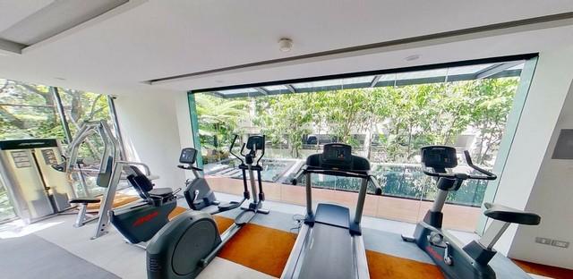 เช่าคอนโด เวีย 49 คอนโดมิเนียม - Condo Rental Via 49 condominium - 2810531