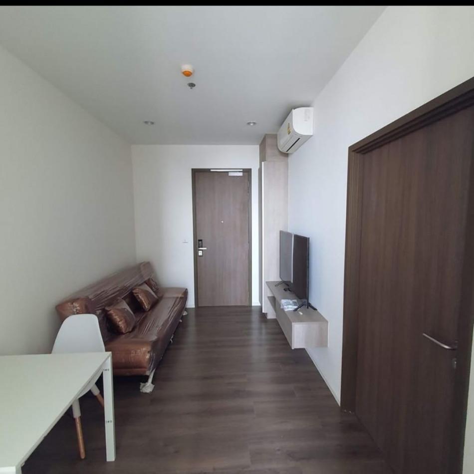 เช่าคอนโด Whizdom Essence สุขุมวิท (วิสซ์ดอม เอสเซ้นส์ สุขุมวิท) - Condo Rental   - 2812959