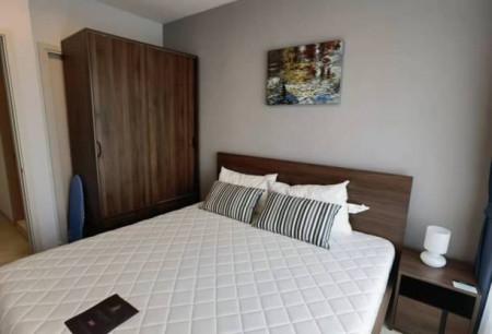 เช่าคอนโด ไลฟ์ สุขุมวิท48 คอนโดมิเนียม - Condo Rental Life Sukhumvit48 condominium - 2813440