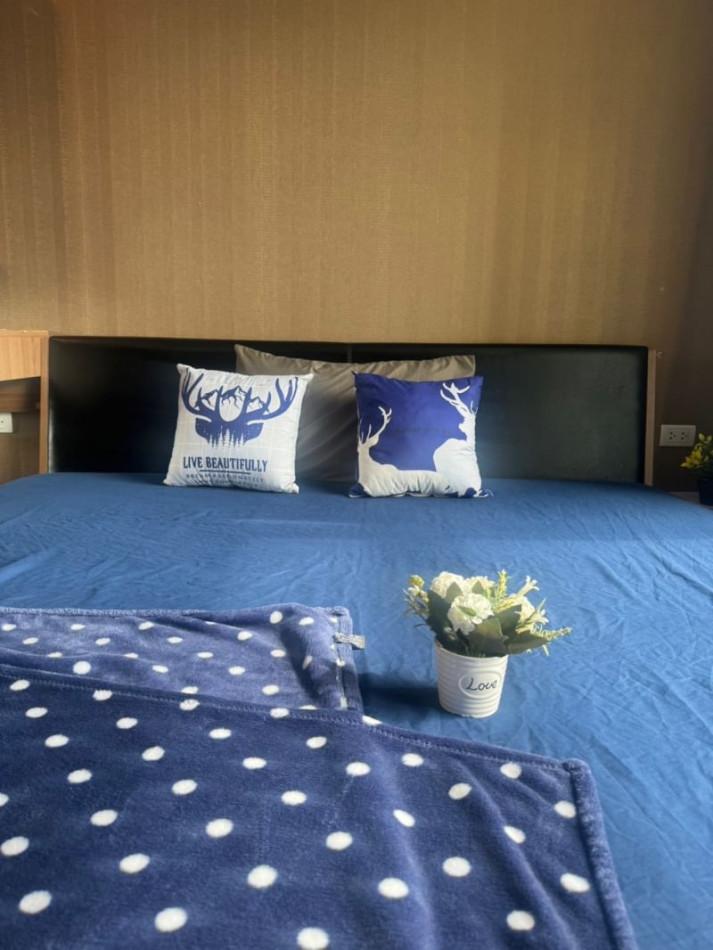 เช่าคอนโด เซอร์เคิล คอนโดมิเนียม - Condo Rental Circle condominium - 2814039
