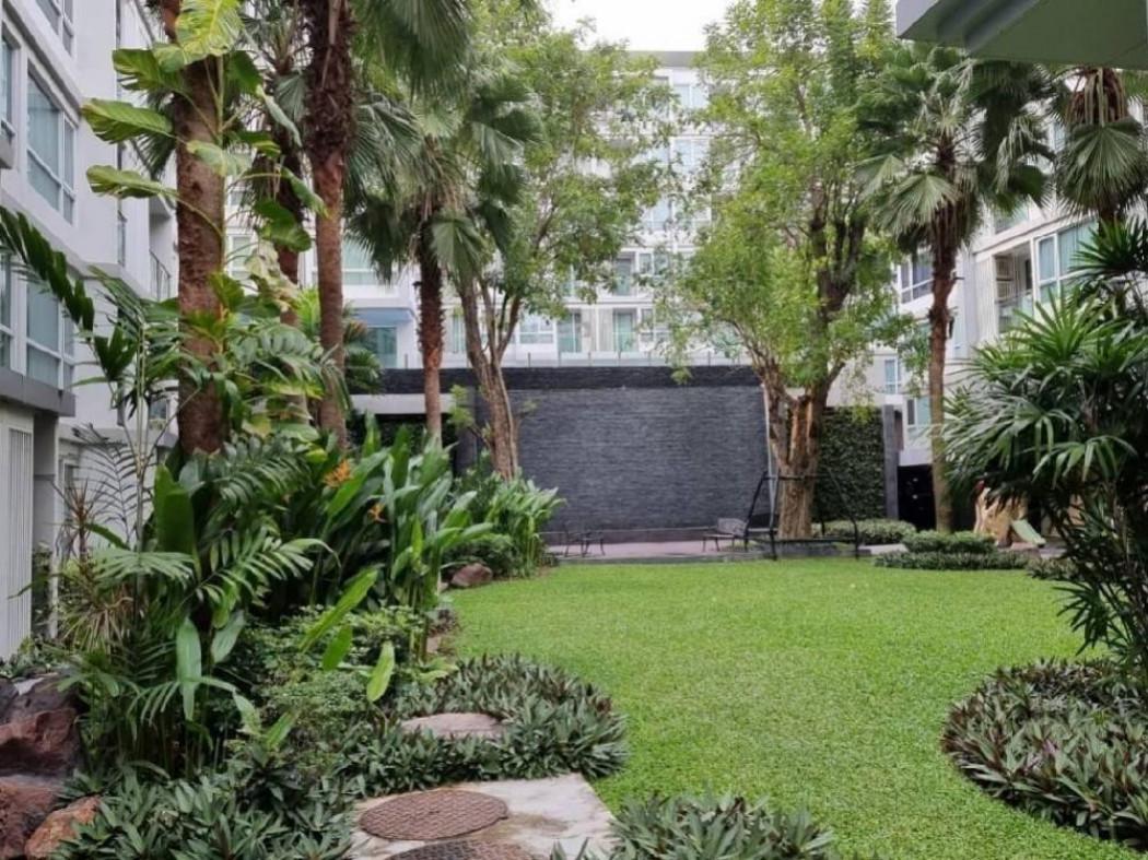เช่าคอนโด เมย์แฟร์ เพลส สุขุมวิท64 คอนโดมิเนียม - Condo Rental Mayfair Place Sukhumvit64 condominium - 2817745