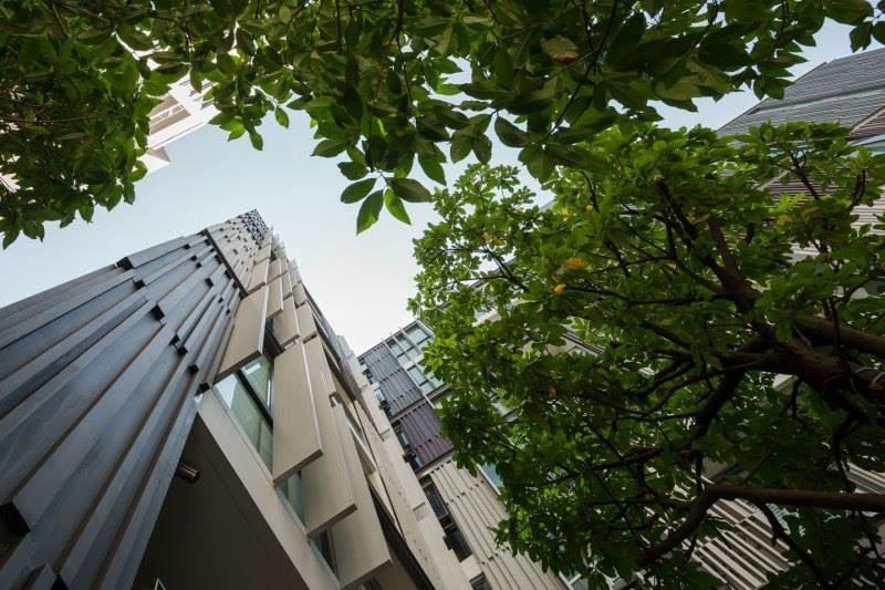 เช่าคอนโด เวีย 49 คอนโดมิเนียม - Condo Rental Via 49 condominium - 2820728