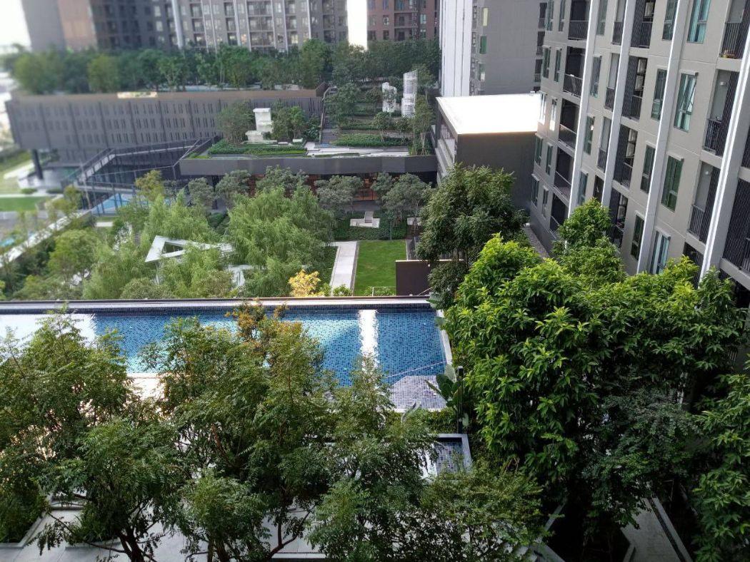 เช่าคอนโด The Parkland Phetkasem56 - Condo Rental   - 2822029