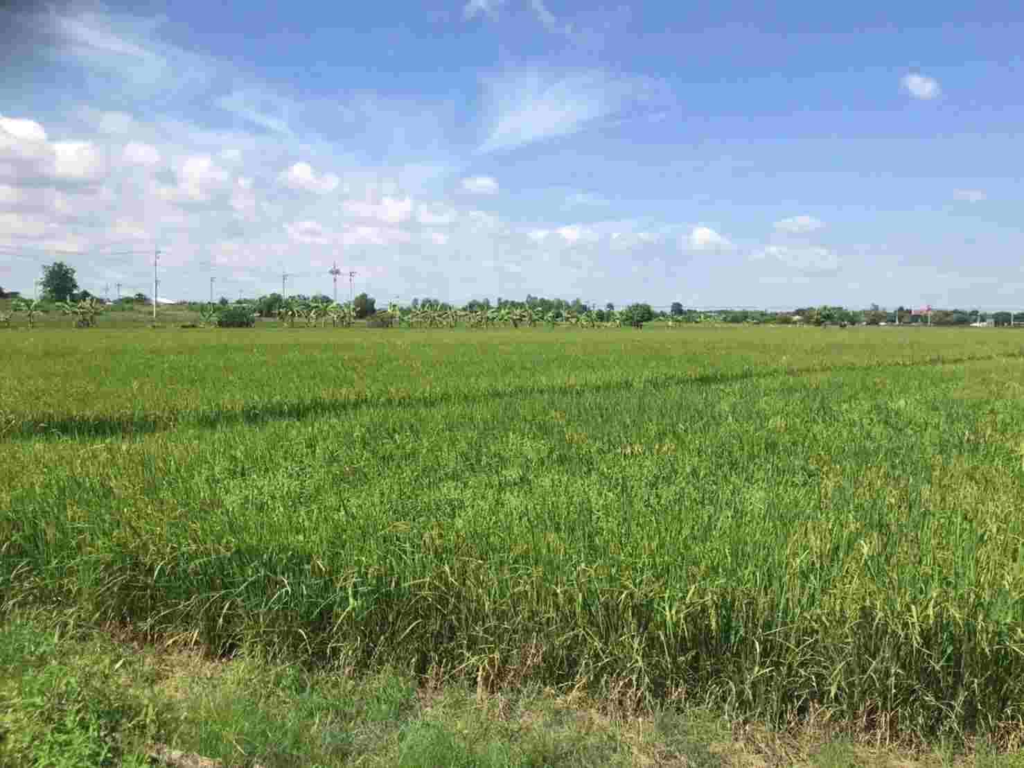 ขายคอนโด เจ้าของขายเอง - Sell Condo   - 2823726
