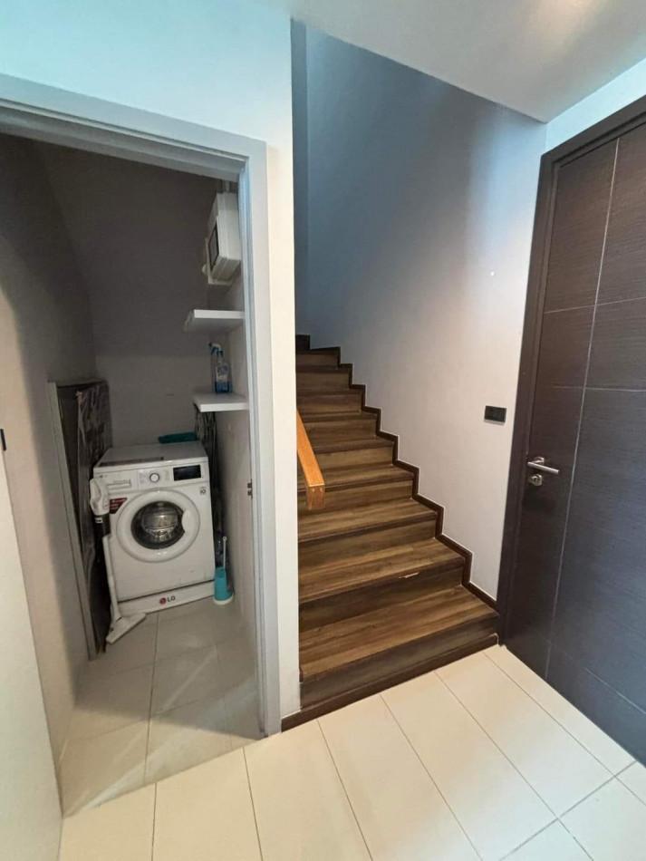 เช่าคอนโด CEIL by Sansiri (ซีล บาย แสนสิริ) - Condo Rental   - 2827245