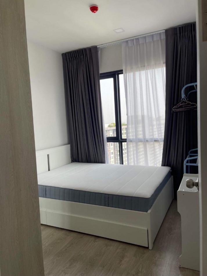 เช่าคอนโด The Tree Pattanakarn-Ekkamai : เดอะ ทรี พัฒนาการ-เอกมัย - Condo Rental   - 2832420