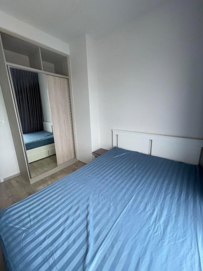 เช่าคอนโด The Tree Pattanakarn-Ekkamai : เดอะ ทรี พัฒนาการ-เอกมัย - Condo Rental   - 2832424
