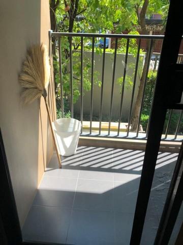 เช่าคอนโด เดอะทรี อ่อนนุช สเตชั่น คอนโดมิเนียม - Condo Rental The Tree Onnut Station condominium - 2835301