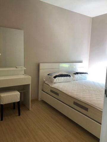 เช่าคอนโด เดอะทรี อ่อนนุช สเตชั่น คอนโดมิเนียม - Condo Rental The Tree Onnut Station condominium - 2835295