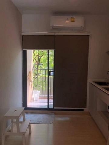 เช่าคอนโด เดอะทรี อ่อนนุช สเตชั่น คอนโดมิเนียม - Condo Rental The Tree Onnut Station condominium - 2835302