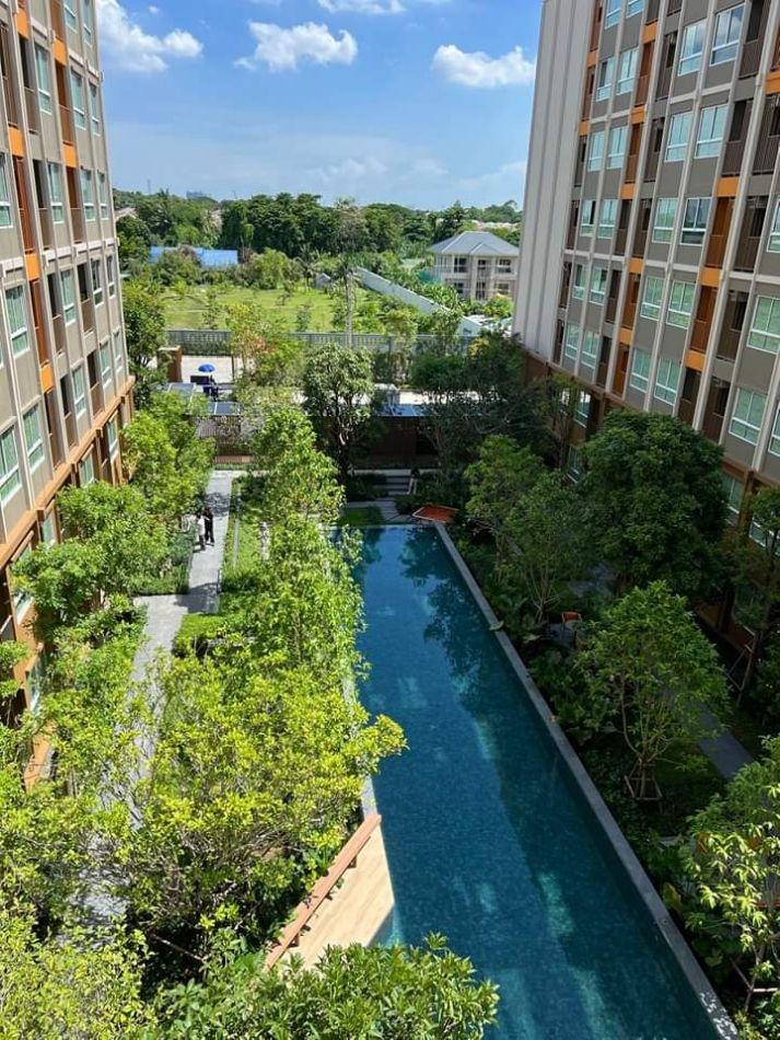 เช่าคอนโด ดีคอนโด พนา จรัญสนิทวงค์ - Condo Rental   - 2859419