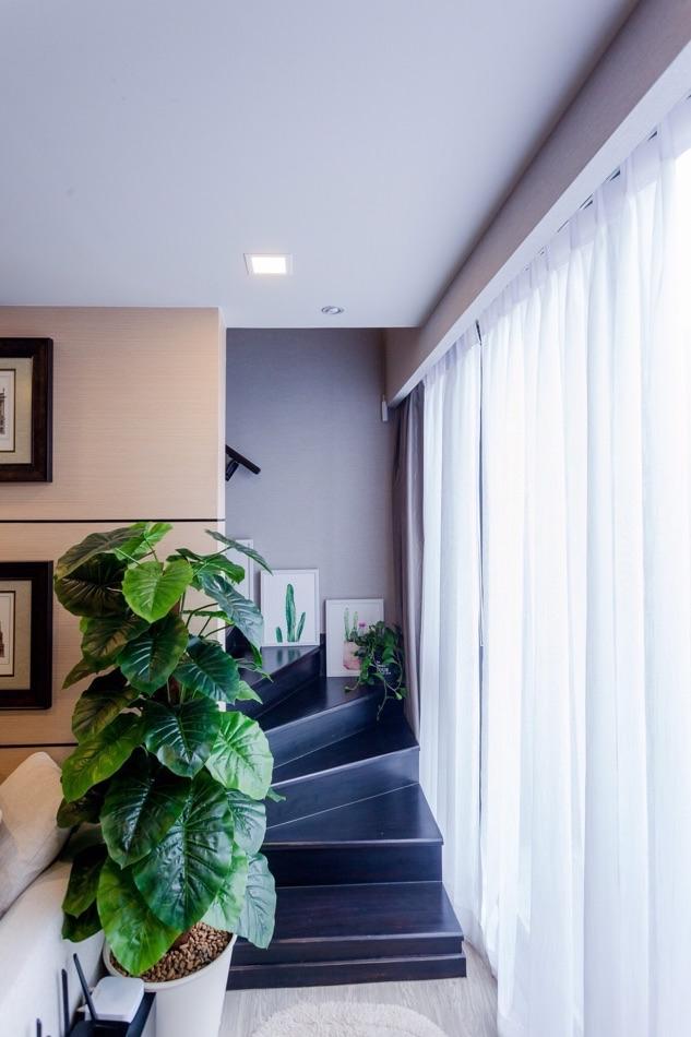 เช่าคอนโด แซฟวี่ พหลโยธิน-อารีย์ คอนโดมิเนียม - Condo Rental Savvi Phahol-Ari condominium - 2897053
