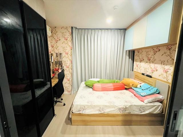 เช่าคอนโด เซียล่า ศรีปทุม คอนโดมิเนียม - Condo Rental CIELA Sripatum condominium - 2903735