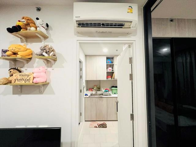 เช่าคอนโด เซียล่า ศรีปทุม คอนโดมิเนียม - Condo Rental CIELA Sripatum condominium - 2903737