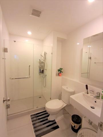 เช่าคอนโด เดอะ โพรดิจี้ เพชรเกษม62 คอนโดมิเนียม - Condo Rental The Prodigy Phetkasem62 condominium - 2907202