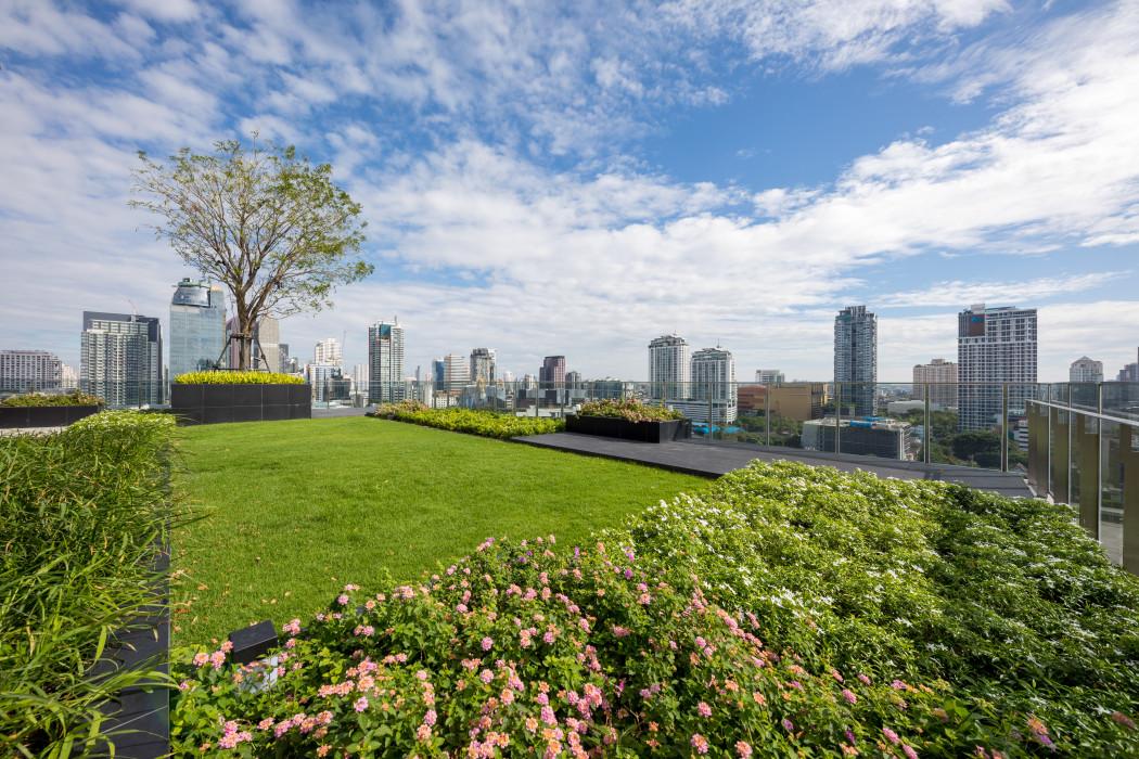 ขายคอนโด เดอะ รูม สุขุมวิท 38 คอนโดมิเนียม - Sell Condo The Room Sukhumvit 38 condominium - 2923552