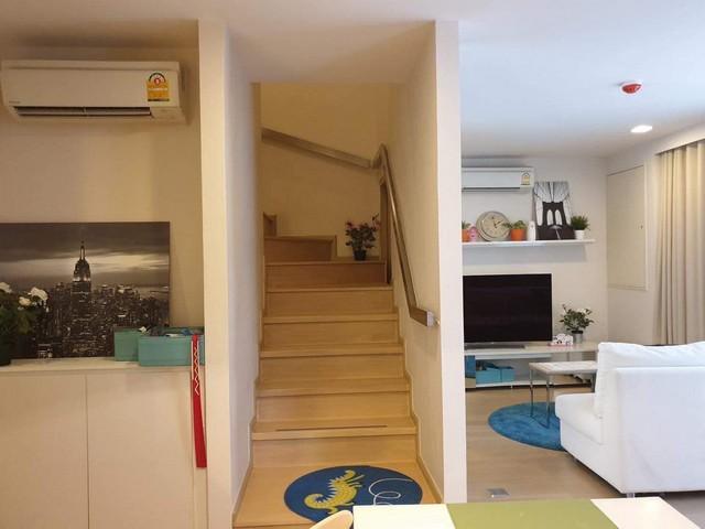 เช่าคอนโด ลิฟ แอท 49 คอนโดมิเนียม - Condo Rental LIV @ 49 condominium - 2924098
