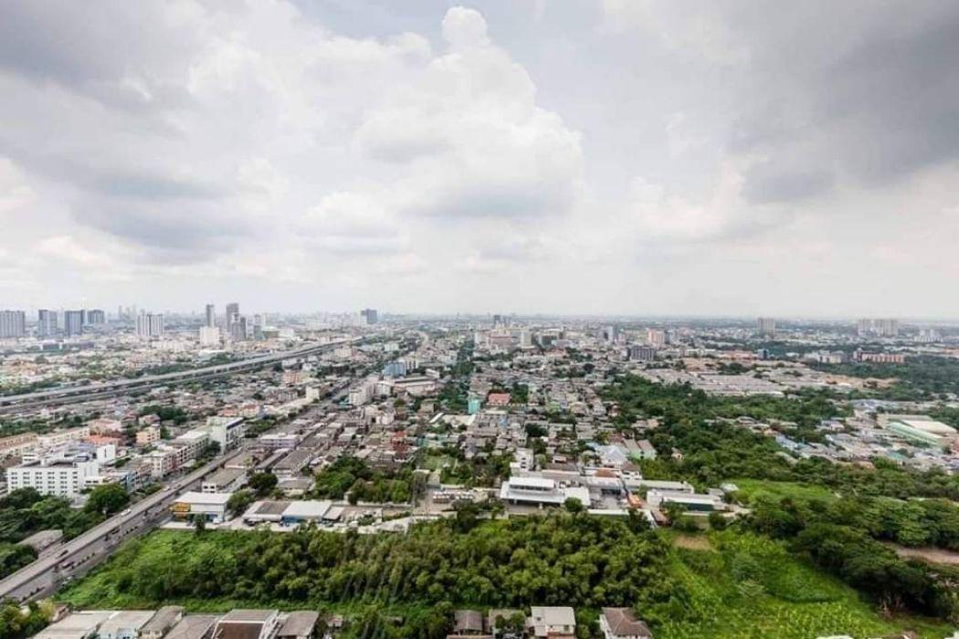 เช่าคอนโด เดอะ ไลน์ วงศ์สว่าง คอนโดมิเนียม - Condo Rental THE LINE Wongsawang condominium - 2925111
