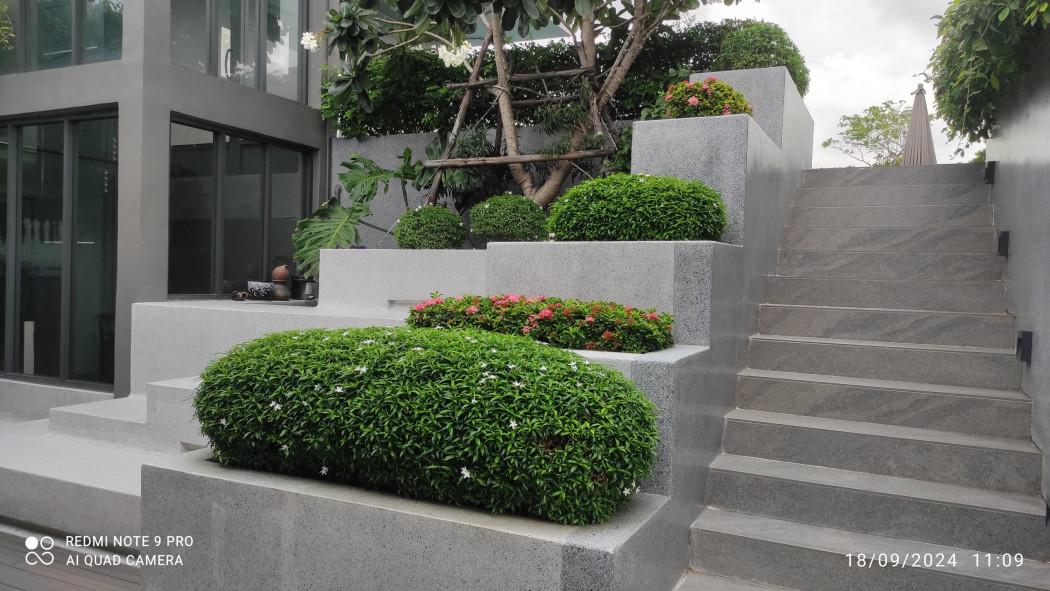 เช่าคอนโด Bearing Residence (แบริ่ง เรสซิเดนซ์) - Condo Rental   - 2941225