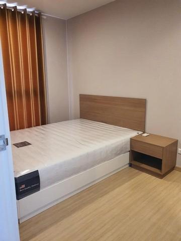 เช่าคอนโด เดอะทรี อ่อนนุช สเตชั่น คอนโดมิเนียม - Condo Rental The Tree Onnut Station condominium - 2943023