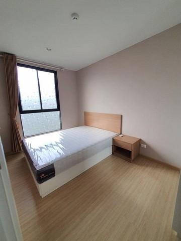 เช่าคอนโด เดอะทรี อ่อนนุช สเตชั่น คอนโดมิเนียม - Condo Rental The Tree Onnut Station condominium - 2943024