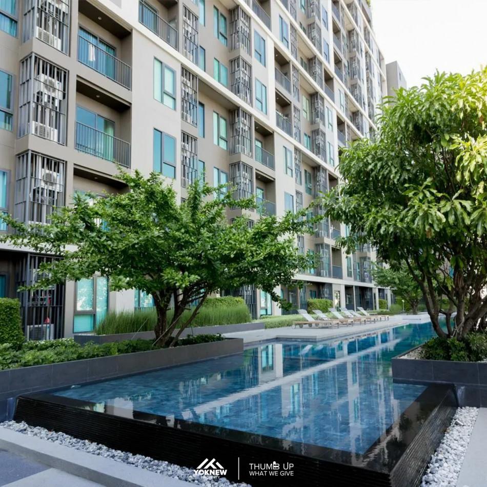 เช่าคอนโด เซ็นทริค ห้วยขวาง สเตชั่น คอนโดมิเนียม - Condo Rental Centric Huai Khwang Station condominium - 2952801