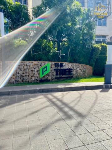 ขายคอนโด เดอะ ทรี สุขุมวิท 71 - เอกมัย คอนโดมิเนียม - Sell Condo The Tree Sukhumvit 71 - Ekamai condominium - 2953314